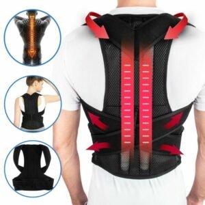 ceinture dos